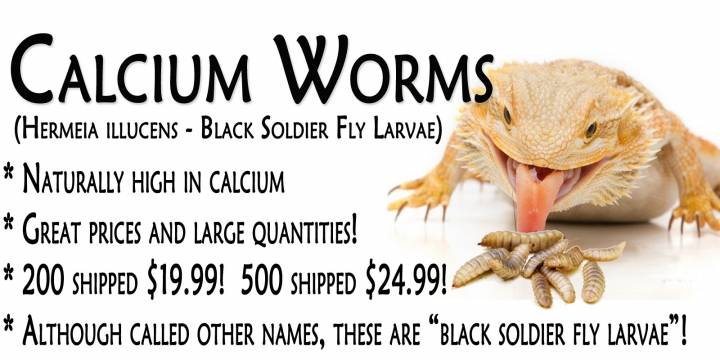 worms