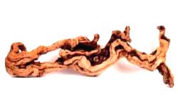 Pacific Driftwood large grapewood