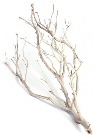 Large sandblasted manzanita