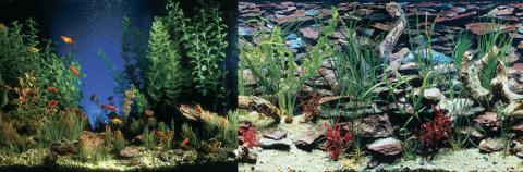 Penn Plax Cage Background 12" High Aquarama / Shalescape