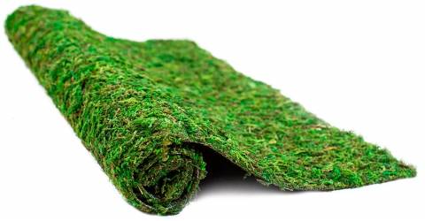 Galapagos Mossy Crashpad Terrarium Liner