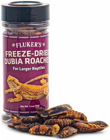 Fluker's Freeze Dried Dubia Roaches Reptile Food, 1.3-oz bag