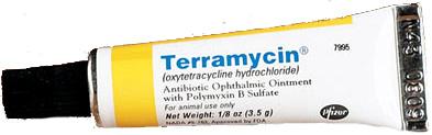 Terramycin Eye Ointment