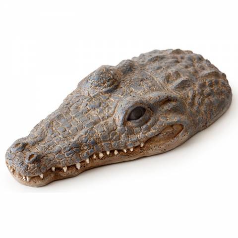 Exo Terra Turtle Island Croc