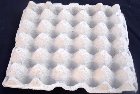 Egg Carton