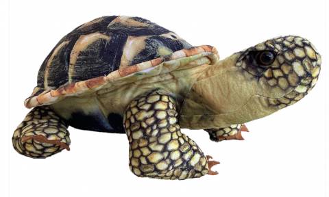 Spurred Tortoise Plush 13" Stuffed Animal
