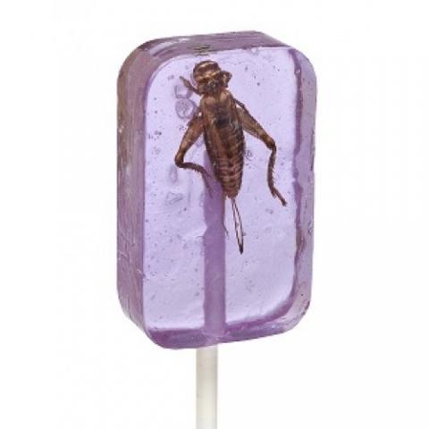 Cricket Lick-It Suckers