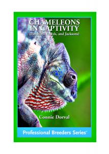 Chameleons in Captivity