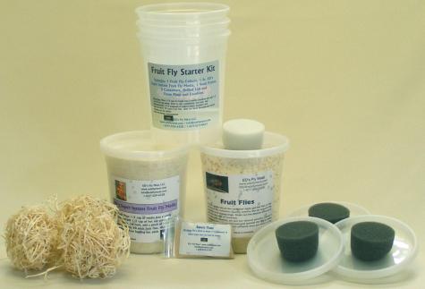 Fruit Fly Kits - 5