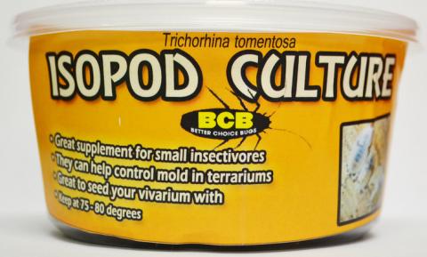 Isopod Culture shipped w/ live reptile (dwarf white)