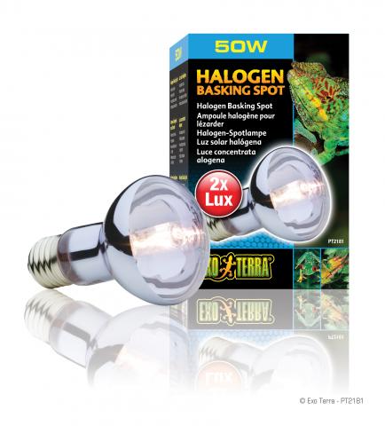 Exo Terra 50 Watt Sun Glo Halogen Bulb