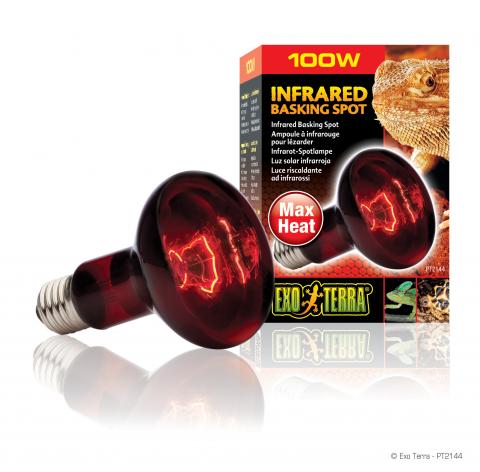Exo Terra 100 Watt Infrared Basking Spot