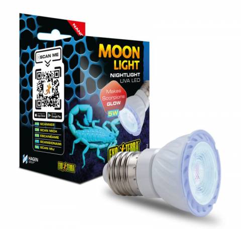 Exo Terra Nano Moonlight 5 watt