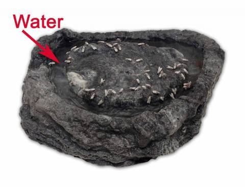 Pet Tekk Fly Island Bowl Granite