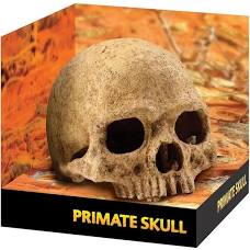 Exo Terra Primate Skull Terrarium Decor