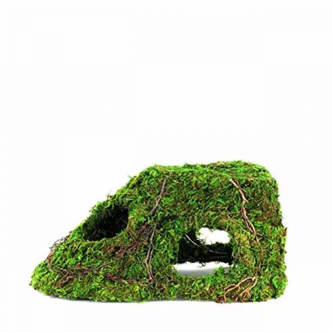 Galapagos Sapa Corner Mossy Hide