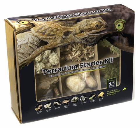 Galapagos Terrarium Starter Kit - Arid