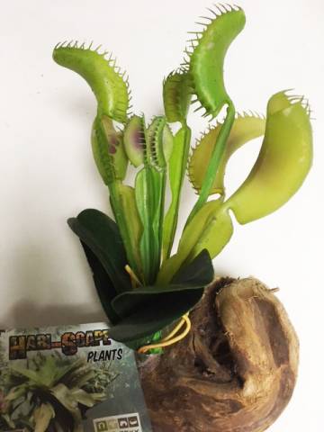 Pet Tekk Venus Fly Trap