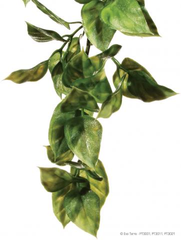 Exo Terra Large Amapallo Jungle Plant