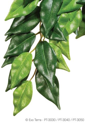 Exo Terra Ficus Hanging Plant Large