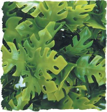 Zoo Med Amazonian Phyllo Bush Plant Large