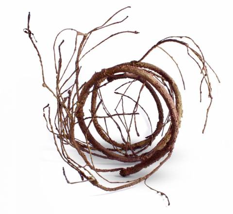 Pangea Ultimate Vine Brown