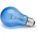 Zoo Med 25 watt day bulb