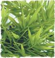 Zoo Med Madagascar Bamboo Bush Plant Medium