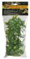 Zoo Med Amazonian Phyllo Bush Plant Medium