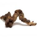 Zoo Med Medium Mopani Wood