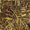 Zoo Med Forest Floor Cypress Mulch 4 quart