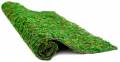 Galapagos Mossy Crashpad Terrarium Liner