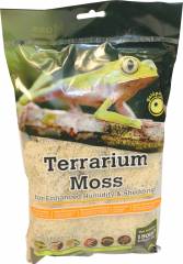 Galapagos Reindeer Moss