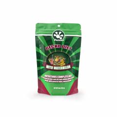 Pangea Gecko Diet With Watermelon 8oz