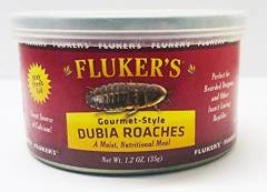 Flukers Gourmet Style Canned Dubia Roaches