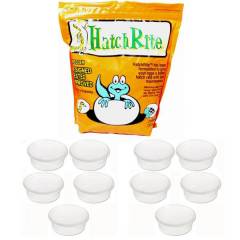 Hatchrite & Deli Cup Special