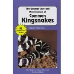 Common Kingsnakes