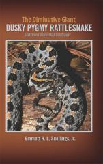 The Diminutive Giant - Dusky Pygmy Rattlesnake