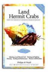 Land Hermit Crabs