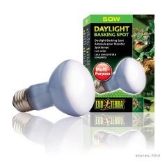 Exo Terra 50 watt Daylight Basking Spot