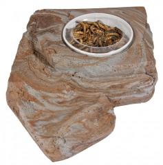 Pet Tekk Large Ground Worm Feeder Bowl