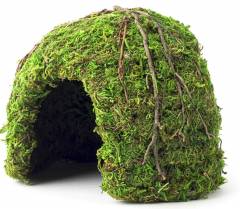 Galapagos Mossy Dome Hide 6"