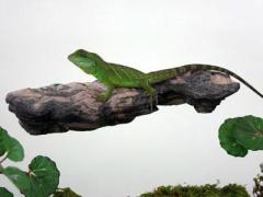 Pet Tekk Medium Mushroom Ledge