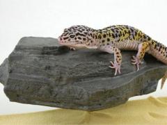 Pet Tekk Small Rock Ledge