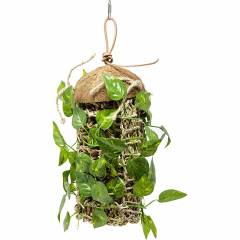 Penn Plax Coconut Climber