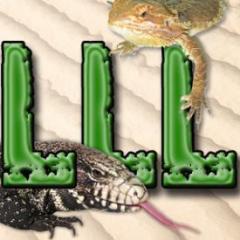 We stock a wide variety of exotic reptiles, amphibians, and invertebrates from around the world. We’re sure to have something for every taste and level of experience.