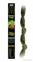 Exo Terra Moss Vine Small